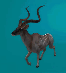 Gif animé antilope marche